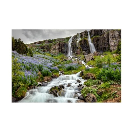 Pierre Leclerc 'Seydidfjordur Waterfall' Canvas Art,22x32